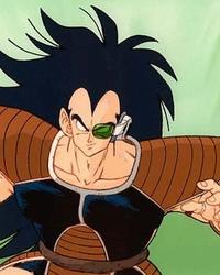 Raditz