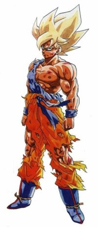 Sangoku Super guerrier